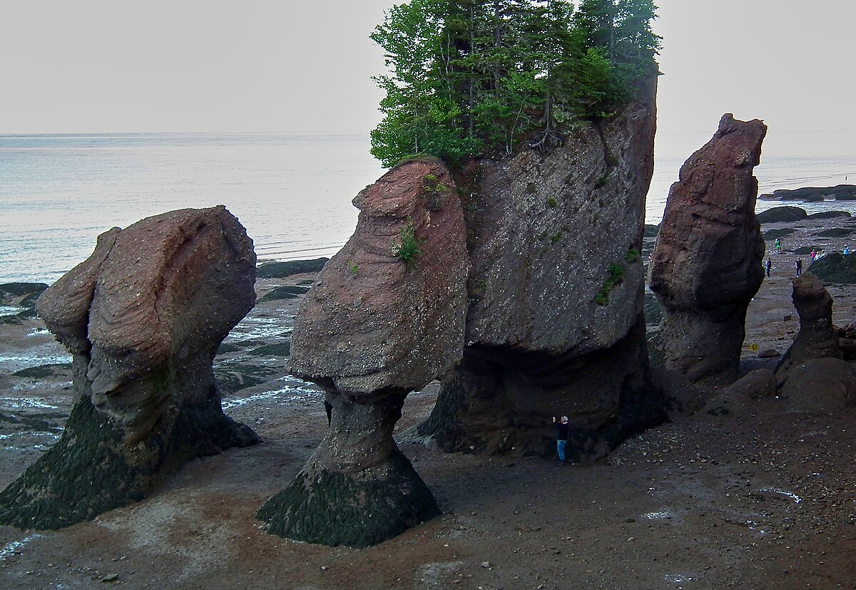 Hopewell Rocks at low tide in the Bay of Fundy, New Brunswick